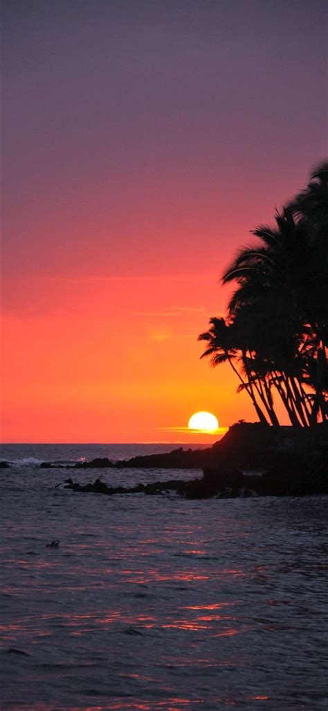 Big Island Sunset Hawaii Iphone 11 Wallpapers Free Download