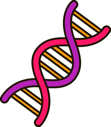 DNA clipart. Free download transparent .PNG | Creazilla png image