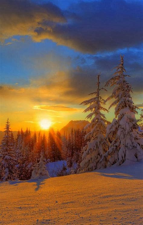 Winter Wonderland Sunset Iphone Wallpaper Landscape Photography
