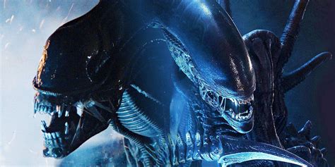 New Alien 5 Movie In Development With Ridley Scott To Produce