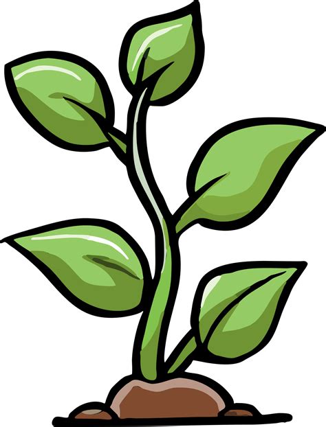 Plant Growing Png Graphic Clipart Design 23743674 Png
