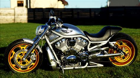 ⭐️ Harley Davidson V Rod Custom Muscle By Fredy Youtube