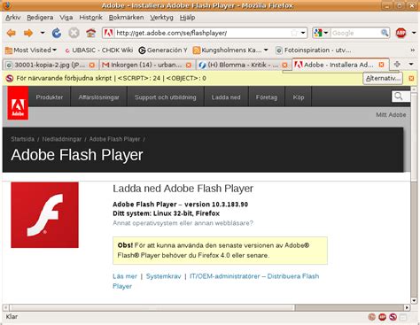 Opera currently has two available browsers, opera mobile and opera mini. Download Adobe Flash Player Installer For Mac - softisxp