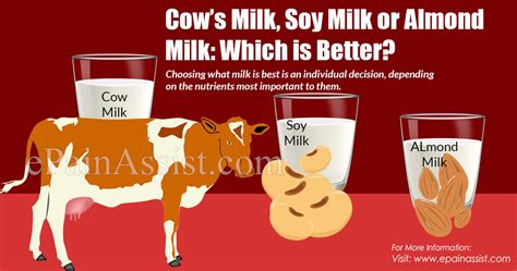 Cows Milk Soy Milk Or Almond Milk Which Is Better