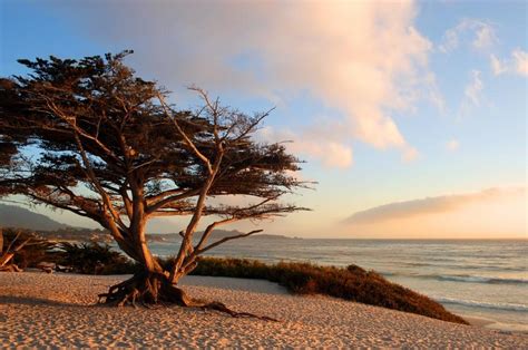 The Monterey Bay Area Photo Gallery Fodors Travel