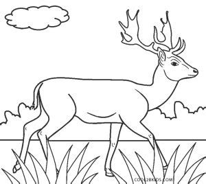 Check spelling or type a new query. Free Printable Deer Coloring Pages For Kids | Cool2bKids