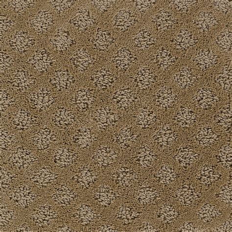 Stainmaster Solarmax Emerald Bay Brown Fashion Forward Indoor Carpet In