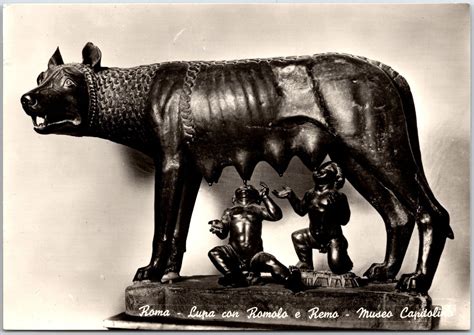 Roma Lupa Con Romolo E Remo Museu Capitolino Italy Real Photo RPPC Postcard Europe Italy