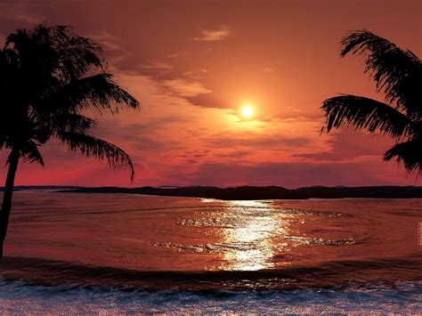 1027353 Sunlight Sunset Sea Shore 3d Render Beach Sunrise