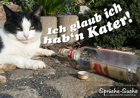 So kann schon ein fröhlicher spruch den unterschied machen, ob es ein guter oder weniger guter tag wird. Lustige Sprüche Katze hat Kater - Sprüche-Suche