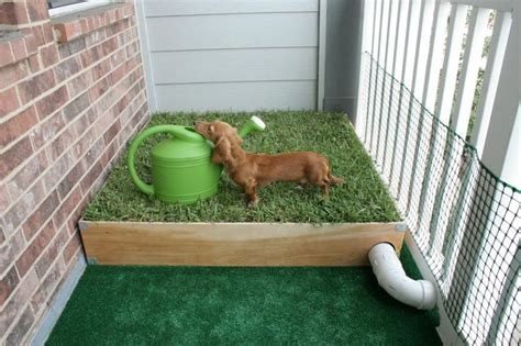 Give your pet freedom to take a potty break or play outside without asking for help; Dog Porch Potty with Real Grass and Drainage System | Porch potty, Dog potty diy, Dog potty area