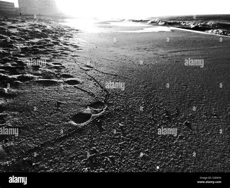 Black And White Beach Stock Photo Alamy