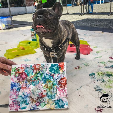 How To Paw Paint With Your Dog — Wee Wee Frenchie Dog Paw Print Craft