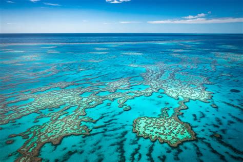Why The Great Barrier Reef Needs To Be Protected Fitzroy Island