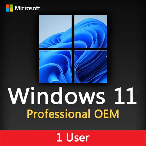 10 Microsoft Windows 11 Pro 64bit Oem Key Mail