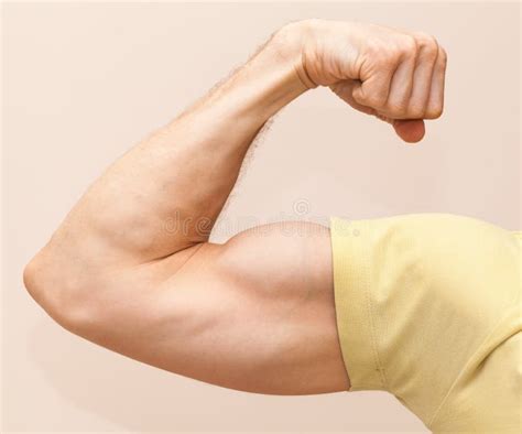 A Strong Man Shows His Muscles Trained Body The Gray Background Stock