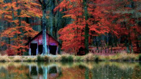 Cabin In The Autumn Forest