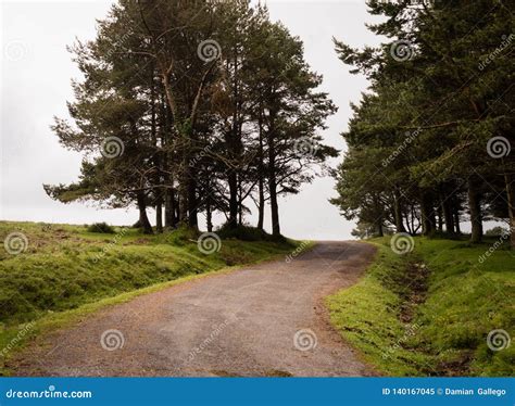 Old Forest Road On A Cloudy Day Stock Image Image Of Horizon Hills