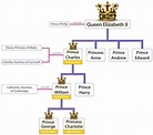 British Line Of Succession For Kids | DK Find Out