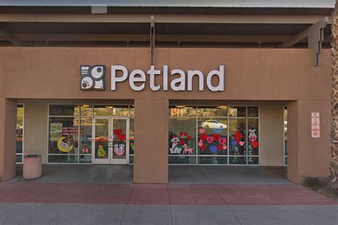 (4 days ago) there are many pets stores, both local and chain, that sell bunnies and rabbits. Las Vegas pet shop alleged to have sick puppies, police ...