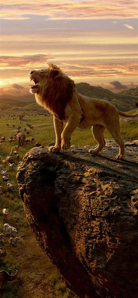 The Lion King Movie 10k Iphone 12 Wallpapers Free Download