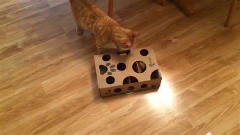 Cat Amazing Interactive Treat Maze And Puzzle Game For Cats Youtube