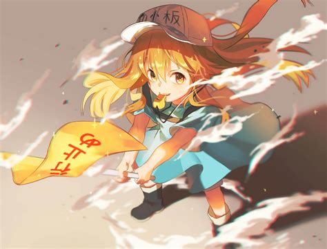 All platelets scenes from episodes 1 and 2 of cells at work copyright disclaimer under section 107 of the copyright act 1976, allowance is made. Cells at Work! Platelet | Papel de parede anime, Papel de ...