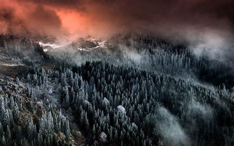 Hintergrundbilder 1920x1200 Px Wolken Wald Landschaft Nebel Berg