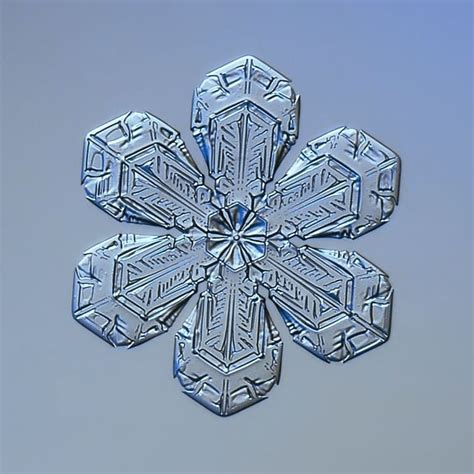 Alexeykljatov Real Snowflake Small Star Plate With Simple Flower Like