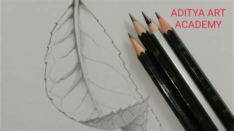 How To Draw A Leaf By Pencil Sketch Youtube