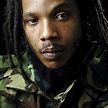 Reggae star Stephen Marley returning to CNY this fall - syracuse.com