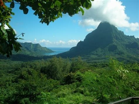 The 15 Best Things To Do In Moorea Updated 2020 Must