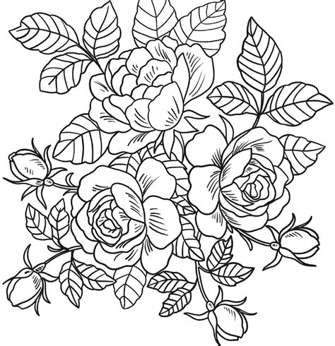 Completely free and completely online. The best free Orange coloring page images. Download from ...
