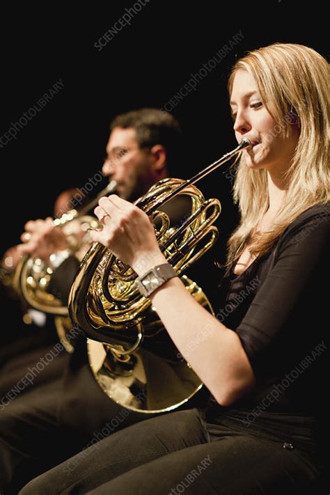 French Horn Players In Orchestra Stock Image F0044660 Science