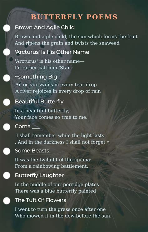 Poems About Butterflies
