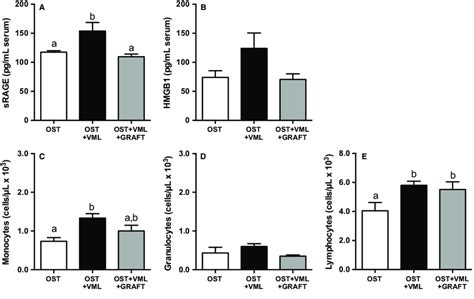 Heightened Alarmin Protein And Circulating Immune Cells Induced By Download Scientific Diagram