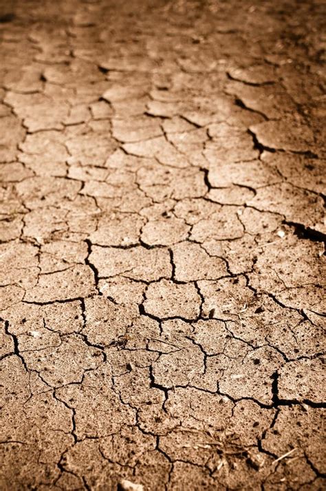 Dry Cracked Dirt Desert Background Texture Pattern Stock Image Image