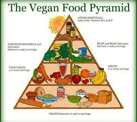 Maybe you would like to learn more about one of these? Food pyramid | تعلم اللغة الأنجليزية Amino