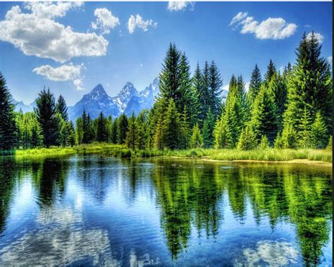 Maybe you would like to learn more about one of these? Forest Lake Diamond Painting Kit at DiamondPaintingKits.com