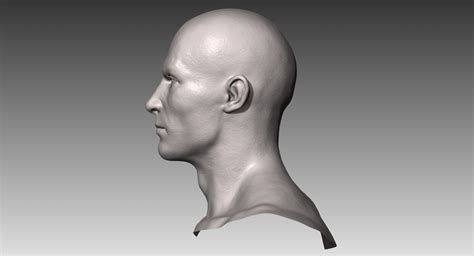 However, daz studio has many. Realistic White Male Head 3D Model in Anatomy 3DExport