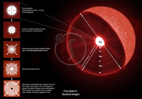 The Final Stages Of The Life Of A Massive Star Which Will Go Supernova