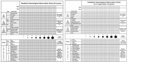 Neurological Observation Chart Template A Visual Reference Of Charts