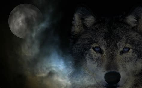 44 Really Cool Wolf Wallpapers