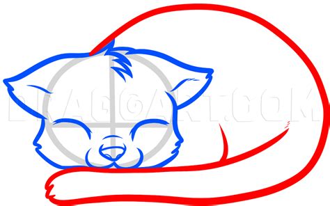 Simple Curled Up Cat Drawing Goimages Web