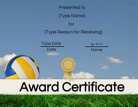 Free Printable Volleyball Certificates Printable World Holiday