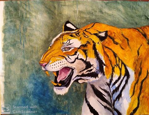Bengal Tiger Watercolor Painting Finished Painting Watercolor
