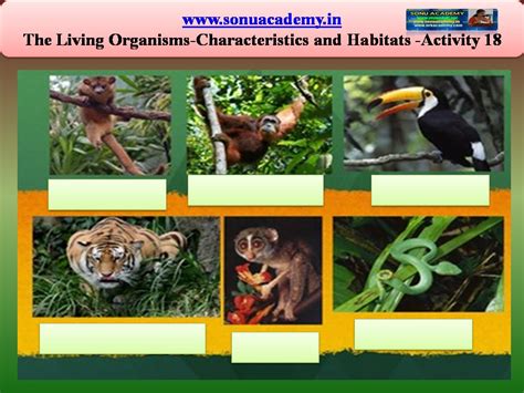 Sonu Academy The Living Organisms Characteristics And Habitats