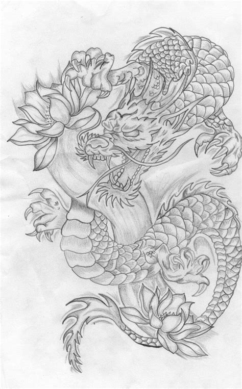Top 30 Stunning And Realistic Dragon Drawings Chinese Dragon Tattoos