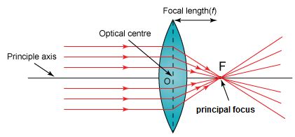 What is the focal length of the lens? What is the principal focus of a convex lens? - Quora