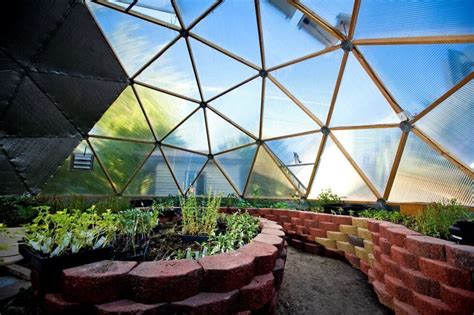 The Inside Of A Greenhouse With Several Plants Growing In Pots And On